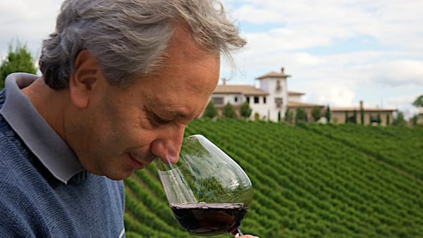 Il respiro del vino. Conoscere il profumo del vino per bere con maggior  piacere - Luigi Moio - Libro Mondadori 2018, Oscar bestsellers